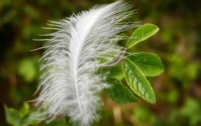 La sophrologie pour retrouver un poids de forme