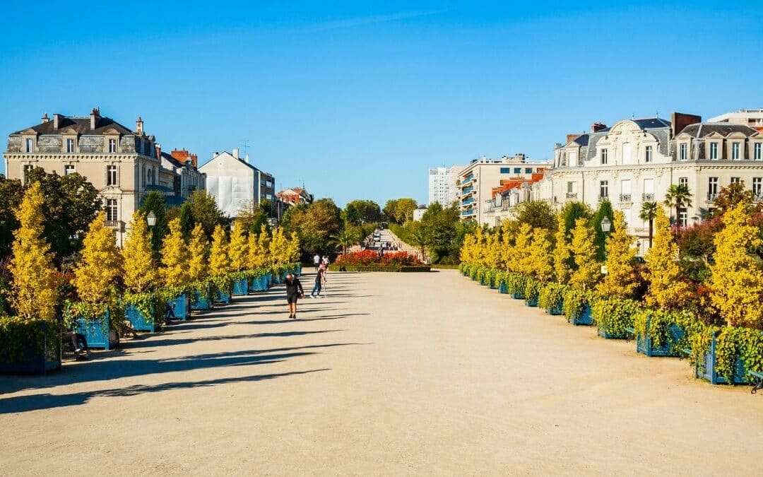 Top 5 des meilleurs spécialistes en hypnose d&rsquo;Angers en 2026